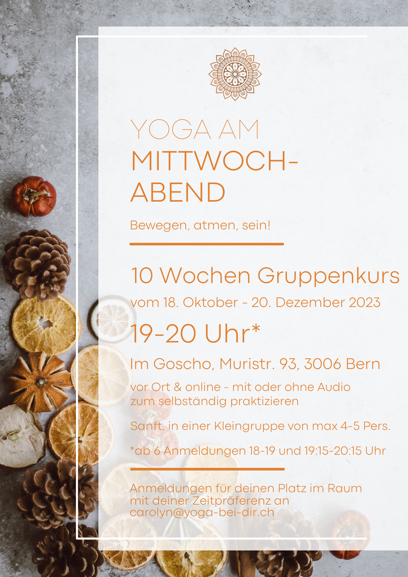Yogakurs im Winter 2023, Yoga in einer Kleingruppe, Yoga im Goscho im Murifeld, 3006 Bern, online und:oder vor Ort